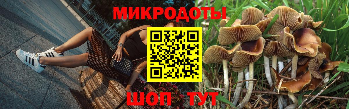 Псилоцибиновые грибы Cubensis  Вход с VPN  Кисловодск 